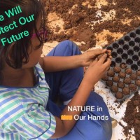 TPSOH  TREE BANK  AT  MARUTHI  GREEN  FIELDS